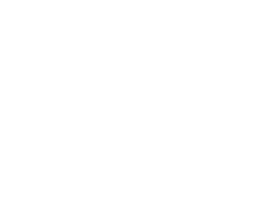 partner-Avatar